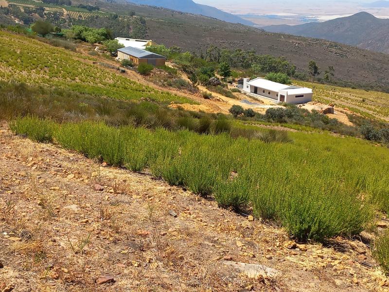4 Bedroom Property for Sale in Piketberg Rural Western Cape